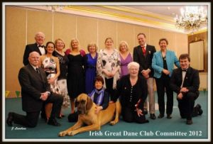 Irish Great Dane Club Committee 2012