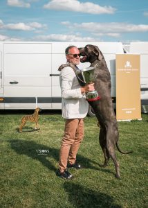 Great Dane London standing on Daddys Shoulders.